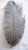 Gray Ostrich Feather 12-16 inch long per each