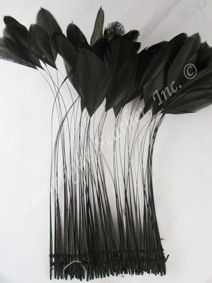 stripped coque Black