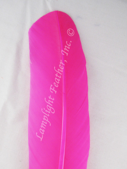 Turkey Feathers, wing rounds, dyed Hot Pink, per DOZEN