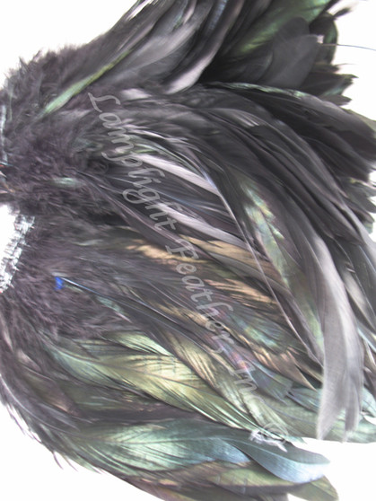 ROOSTER Rooster Feathers Schlappenstrung, dyed Black 3-5 inch, per foot