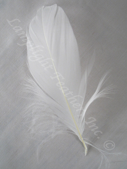 GOOSE SHOULDER Feathers, NATURAL White, per Ounce
