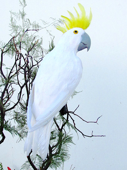 White Cockatoo Artificial Tropical Bird 10 inch per Each
