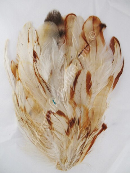 Millinery Feather Pad Cream and Ginger