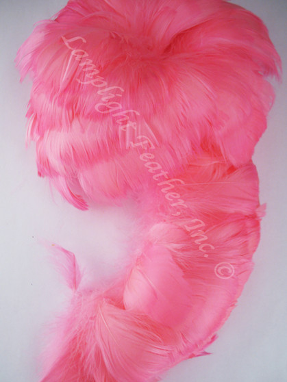 GOOSE COQUILLES, dyed PINK, per foot