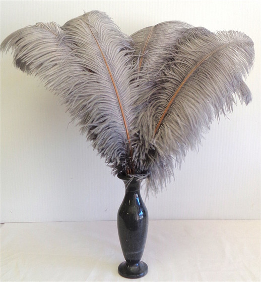 Pearl Gray OSTRICH FEATHER, LONG, per Each