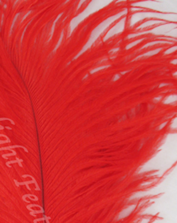 Red Ostrich Feather Seconds 8-12 per 10