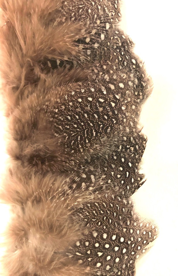Strung Guinea Fowl Plumage Small Eyes 2-3" - per half ounce