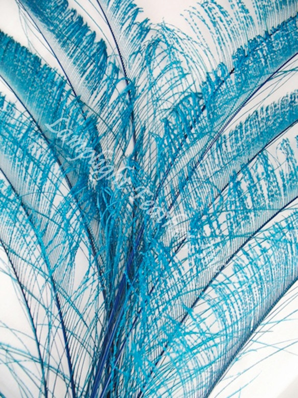 Turquoise Dyed Peacock Sword Feathers