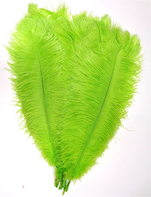 Lime Ostrich Feather 16-20 inch Long per Each