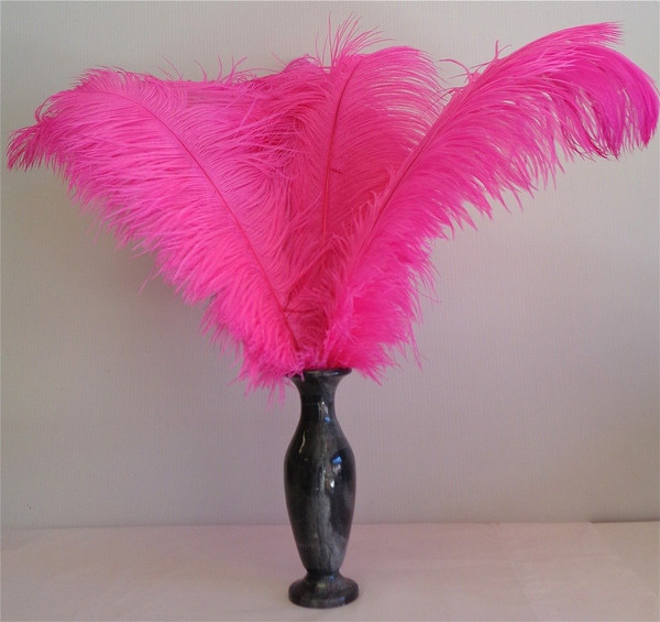 Fuchsia Hot Pink #2 Grade Ostrich Feather 16-20 inch Long
