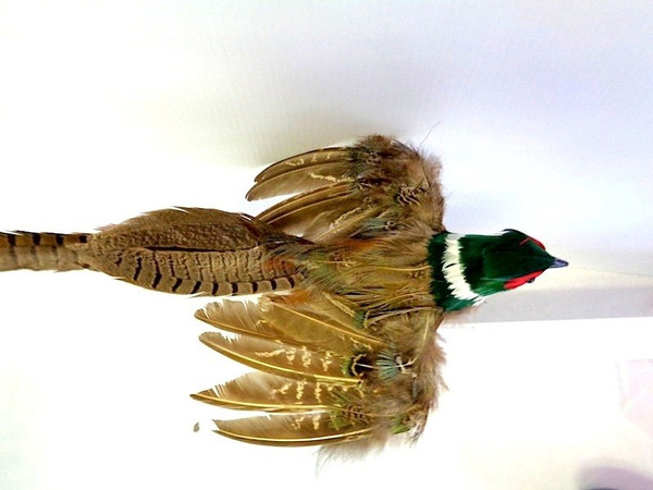 Ring-necked Pheasant Decorative Artificial Bird Flying 18 inch per DOZEN