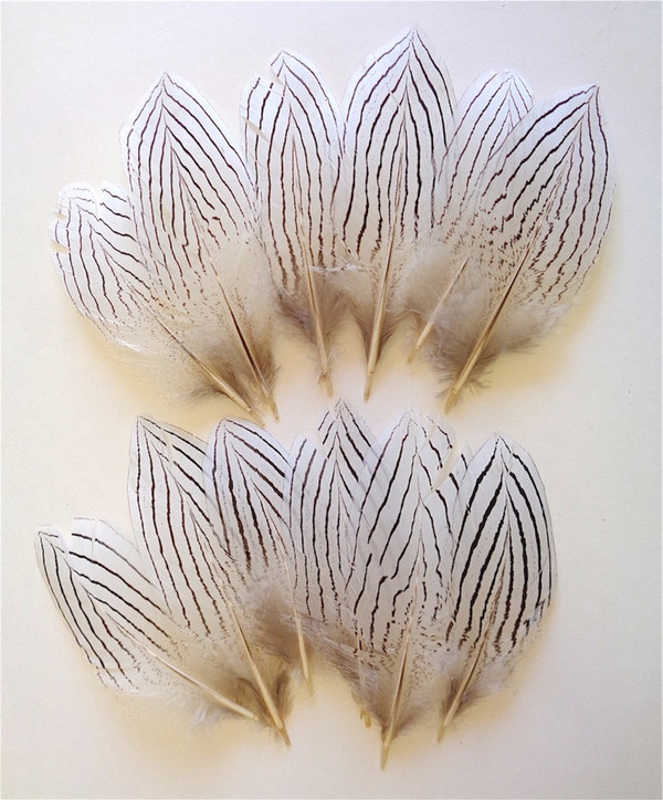 Silver Pheasant Tail Feathers 8-10 per FOUR (4)