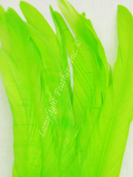 COQUE, 5-8 inch, lime, per 25