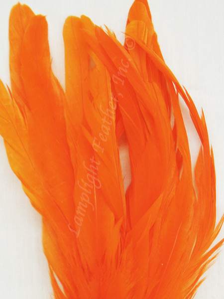 Orange Coque Rooster Tail Feathers 10-12 inch per Ounce