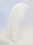 White Ostrich Feather Plume