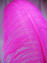 OSTRICH WING PLUMES, PREMIUM, Fuchsia , per Each