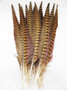 Ring-Necked Pheasant Tail Feathers 14-16 inch