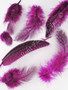 Guinea Plumage Craft Feathers Hot Pink per half ounce