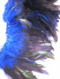 ROOSTER Schlappen Feathers half bronze dyed Blue, per foot