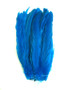 Turquoise Coque Rooster Tail Feathers 6-8 inch per ounce