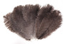 Natural Mini Ostrich Feathers 5-8 Inch per Dozen
