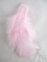 Light Pink Craft Feathers Turkey Plumage per one ounce package