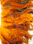COQUE, CHINCHILLA, Orange, 5-8 inch per Ounce
