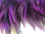 Feather Trim, Furnace Saddle Hackle dyed Deep Purple 