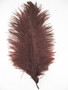 Brown Ostrich feather, long ostrich feather