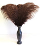 Brown Ostrich Feathers 16-20 inch vase