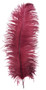 Burgundy Ostrich Feather 16-20 inch Long  per Each