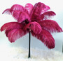 Burgundy Ostrich Feather 16-20 inch Long  per Each