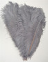 pearl Gray OSTRICH Feathers LONG