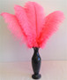 Hot Pink OSTRICH FEATHER, LONG, per Each