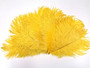 Gold Mini Ostrich Feathers 5-8 Inch