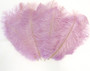 Orchid Mini Ostrich Feathers 5-8 Inch
