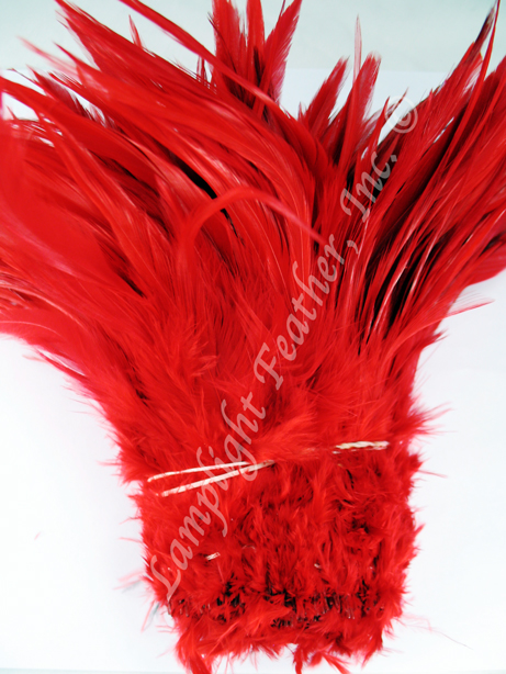 5-7 Turquoise Rooster Saddle Feathers for Crafting, Headpiece