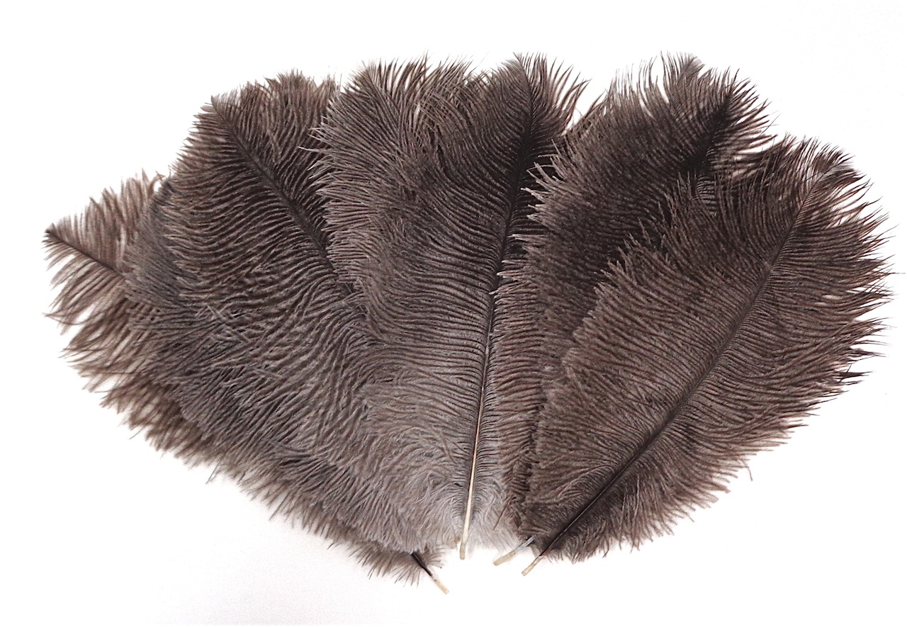 Natural Gray Ostrich Feather 8 10 inch size per SIX 6