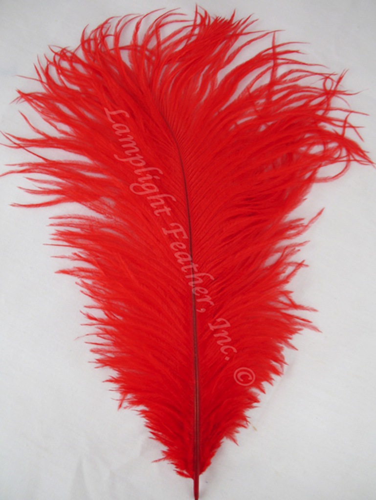 120 Ostrich Feathers (12-16 Inch)