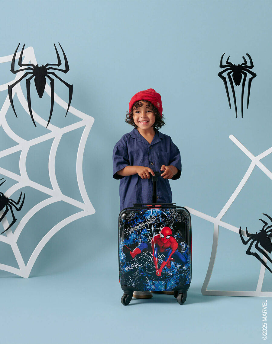 Amazing Spider-man Bags