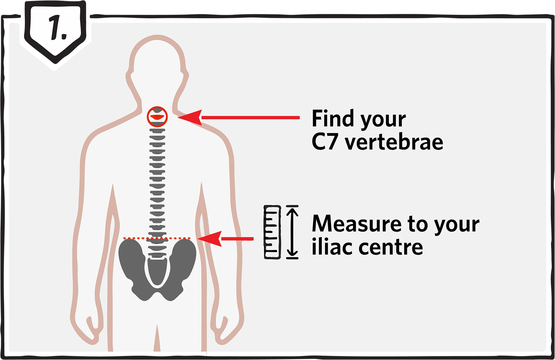 Measure your torso length