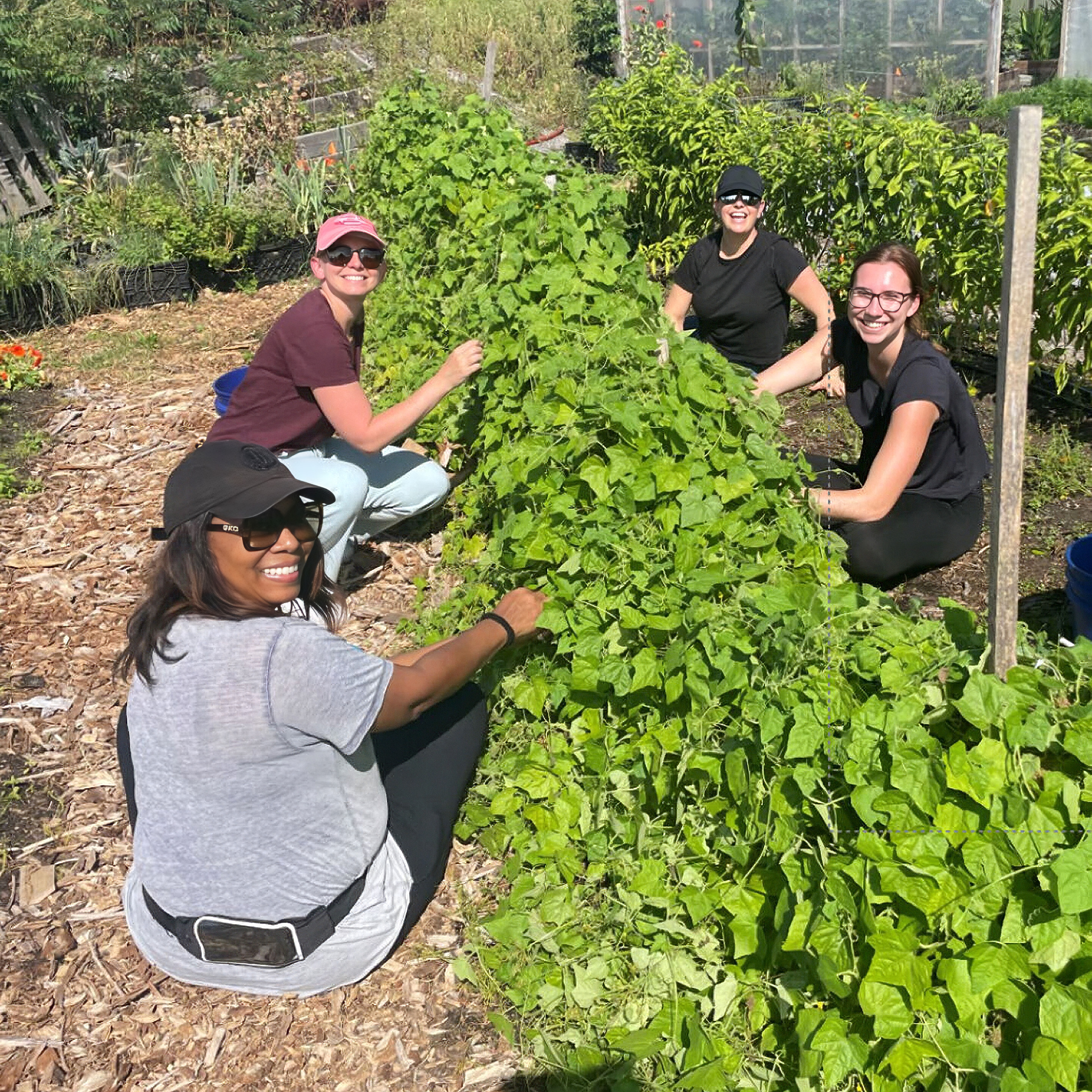 Investing in Employee Growth