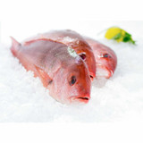 Whole Caribbean Red Snapper 3 Lb. Avg(1-2 Fish) Wholey's