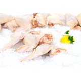 Jumbo Chicken Wings on ice