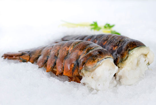 photograph of two cold water lobster tails on ice