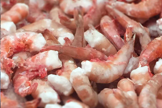 21-25 Ct. Gulf Wild Shrimp (5 Lb.)