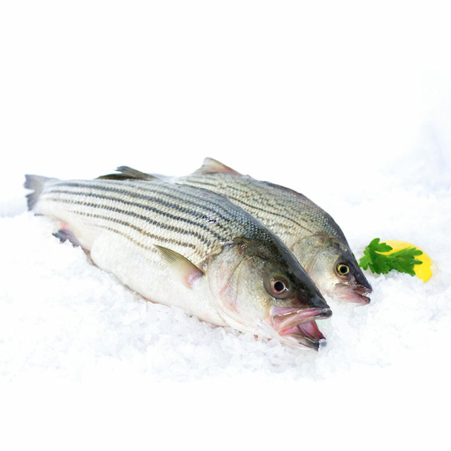 23 Striped Bass for Sale (6 LB.) Robert Wholey Company