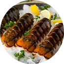 Lobster