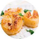 Shellfish