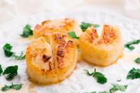 Scallops